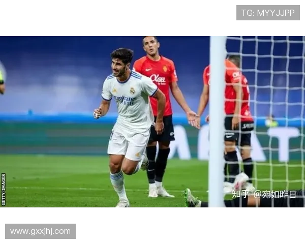 西甲ag官网安全保障措施：账号安全与个人信息保护策略