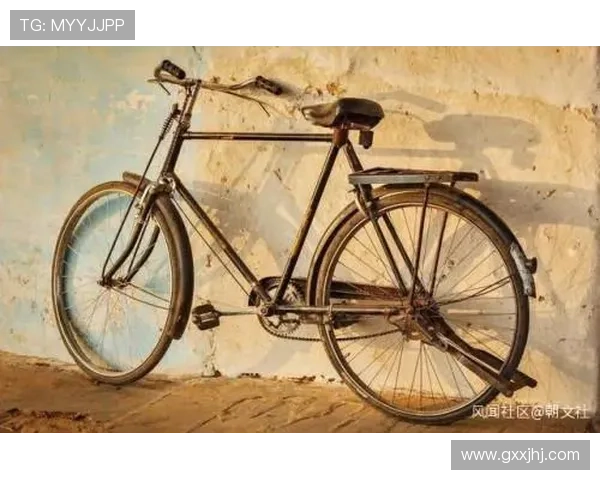 二八杠自行车如何选择合适的投注策略实现盈利的实用建议