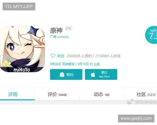 南宫旗下28圈：深度解析热门网络游戏最新动态与玩法技巧